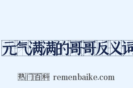 元气满满的哥哥反义词是什么意思的图片